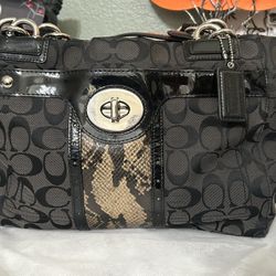 Coach   Signature  Python/snake Print