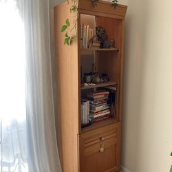 Lighted Bookshelf With Door Storage