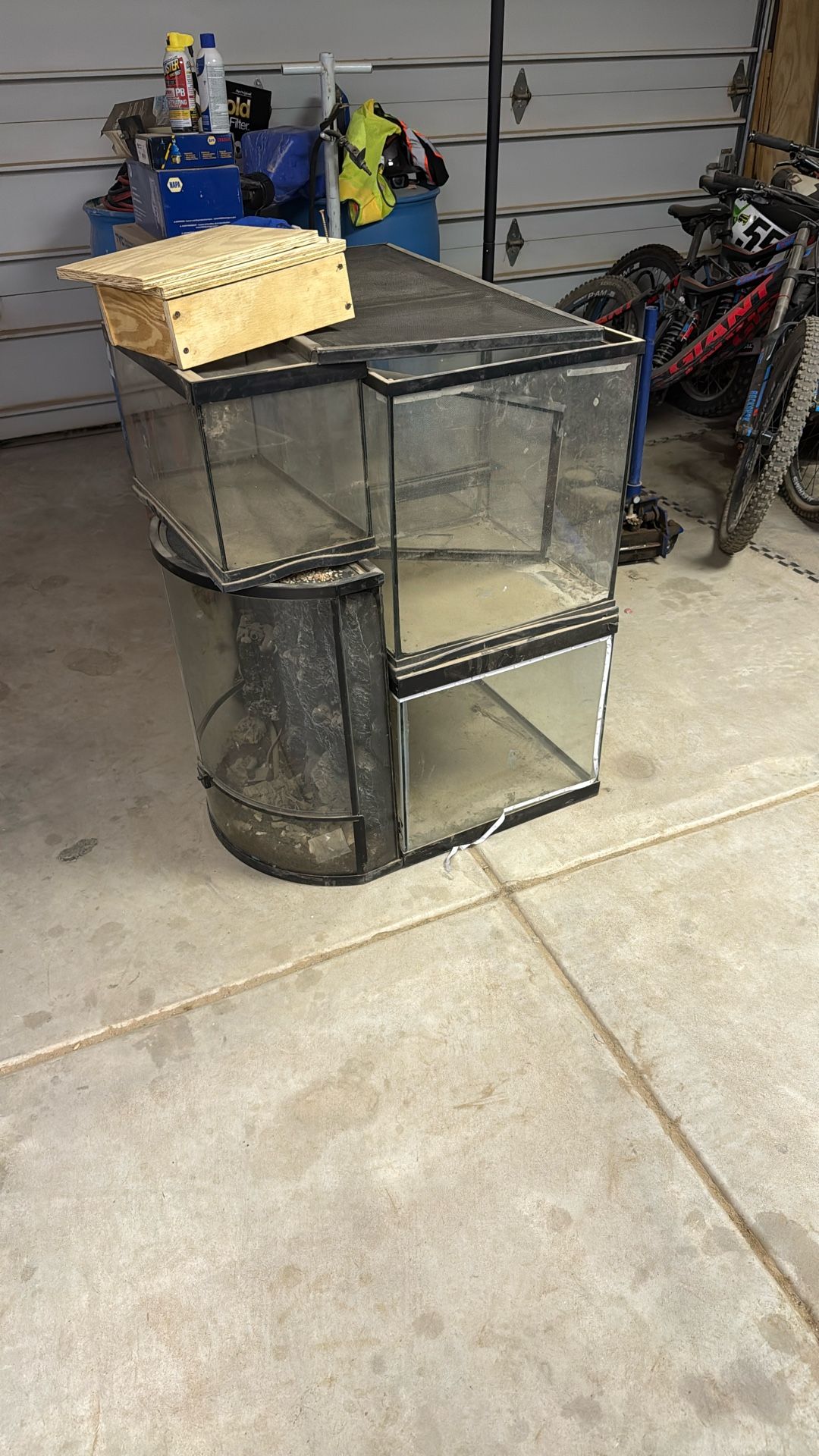 lizard cages