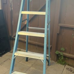 Werner ladder 