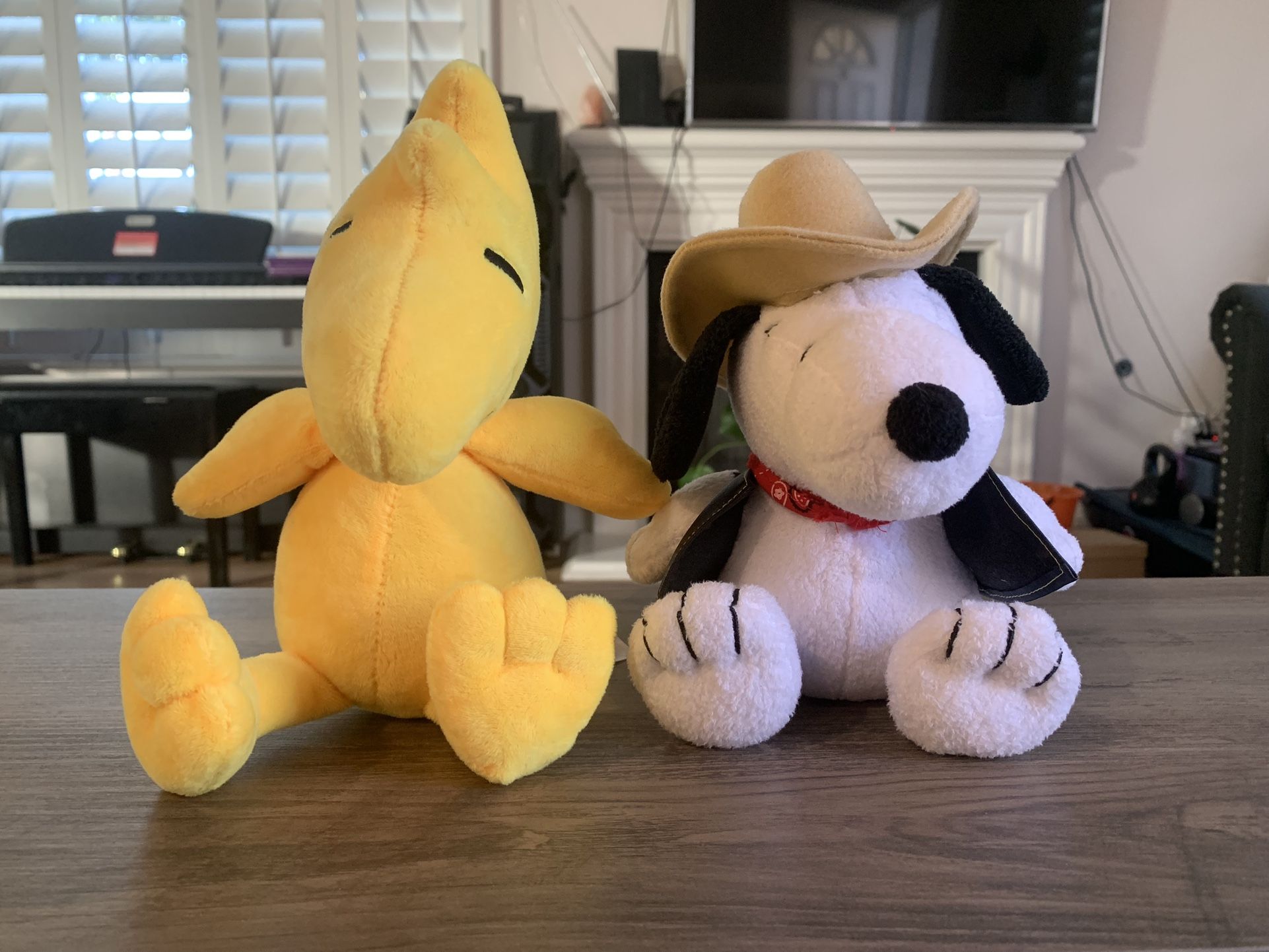 Woodstock and Cowboy Snoopy