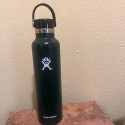Hydro Flask 24 oz Standard Mouth Sage Green with Flex Cap