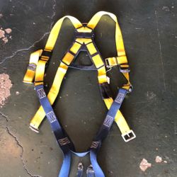 Safety Harness
