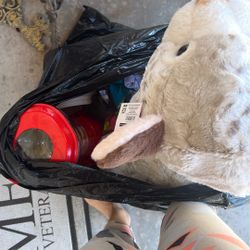 Free Bear Blender And Clothing 