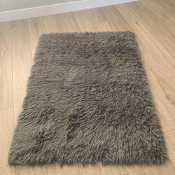 Shag Rug
