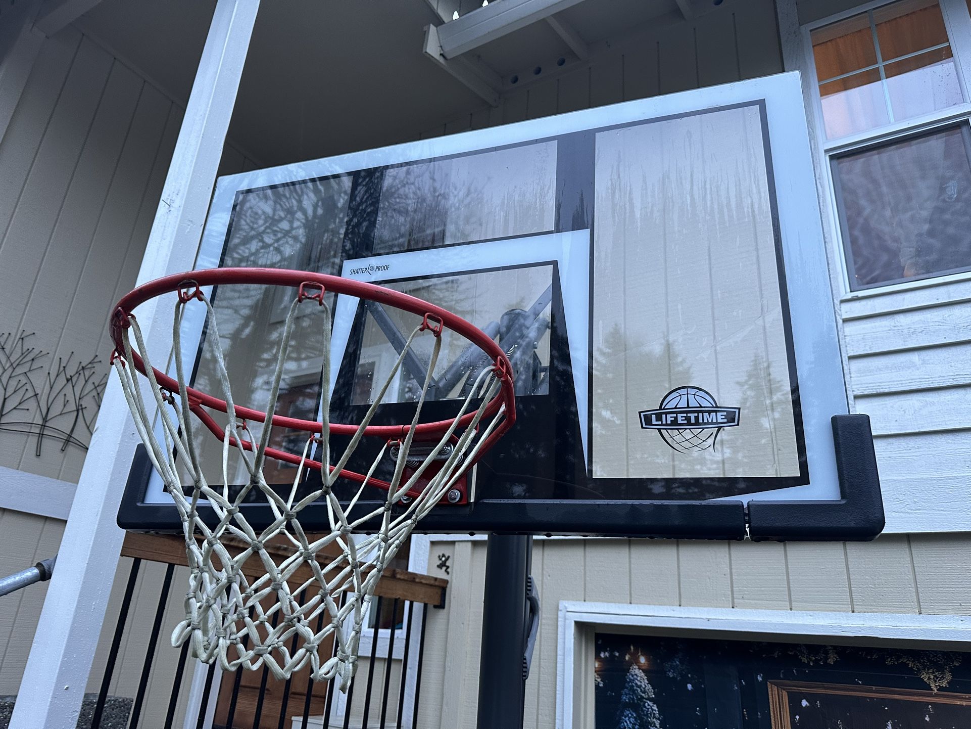 Lifetime Basketball Hoop
