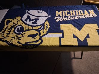 Michigan wolverines university flag