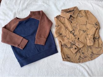 Shirt and sweatshirt 2Т