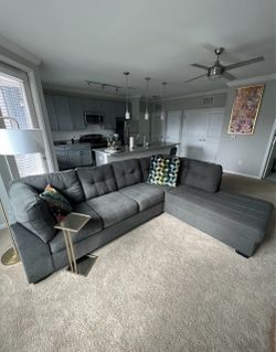 Gray Sectional Couch with Chaise