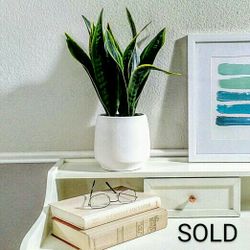 Artificial Plant in Modern White Vase , 17"x8" home decor Modern Fake Plants Faux Plants Flowers  boho 