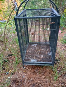 Birds Cage 
