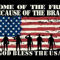 Veterans Flag
