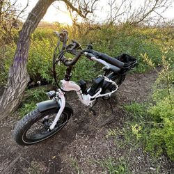 Rad Expand Folding Bike