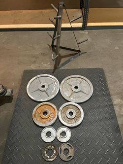 Olympic Weights with Stand