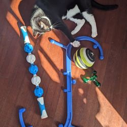 Assorted Sports Massage Tools