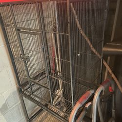 Brid Cage Haula Para Aves 