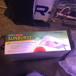 Mini Sunburst All-In-One