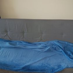 Futon Sofa/couch