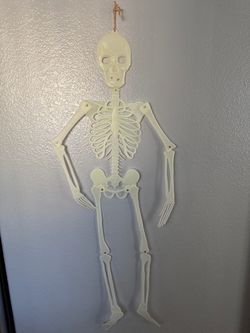 VINTAGE HALLOWEEN GLOW IN THE DARK PLASTIC SKELETON WALL HANGING WITH ARTICULATED JOINTS