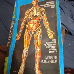 RARE Vintage 1977 Revell The Visible Man Model Kit - Sealed in Plastic!