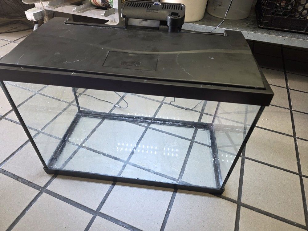 aquarium fish tank