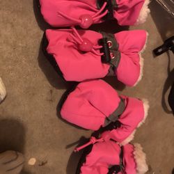 Dog Shoes 