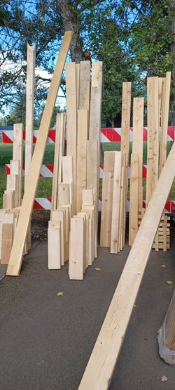 Big Lots of miscellaneous cedar boards for $5 takes it all.