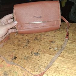 Nice Little Hand Bag