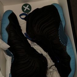 Foamposite Shoes