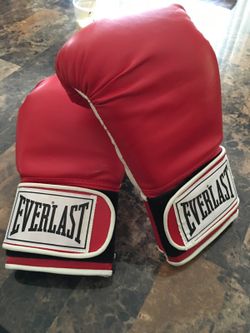 Everlast Boxing gloves