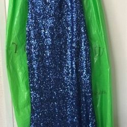 NEW!!!! from Windsor navy blue sequence dress