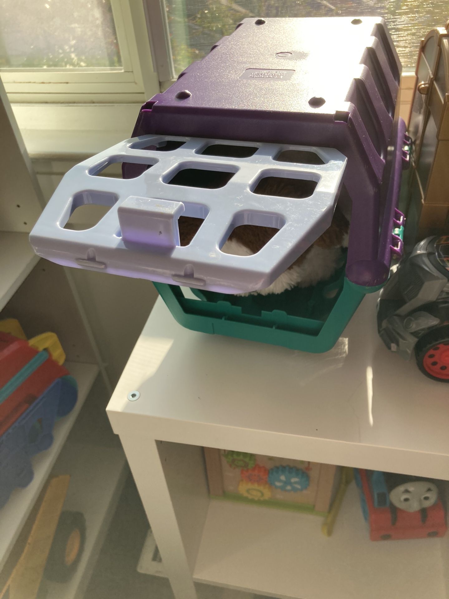 Shelter For Animal Toy