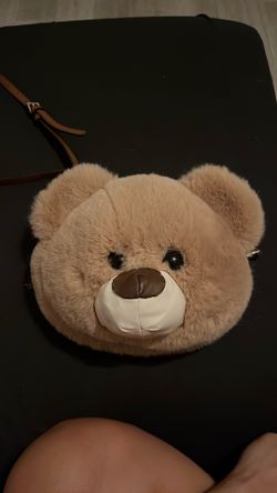 Teddy Bear head bag