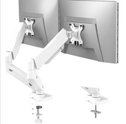 Dual monitor stand