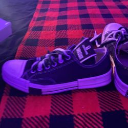 Rick X Converse Lows 