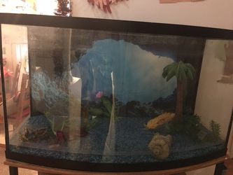 Fish Tank