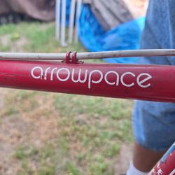 27 inch 12 speed UNIVEGA  Arrowpace