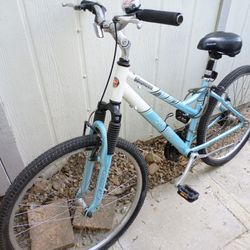 Schwinn Beach Cruiser