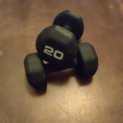 Two 20 Pound Dumbels