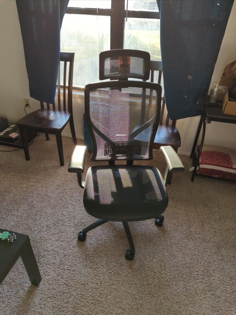 Executive Office Chair