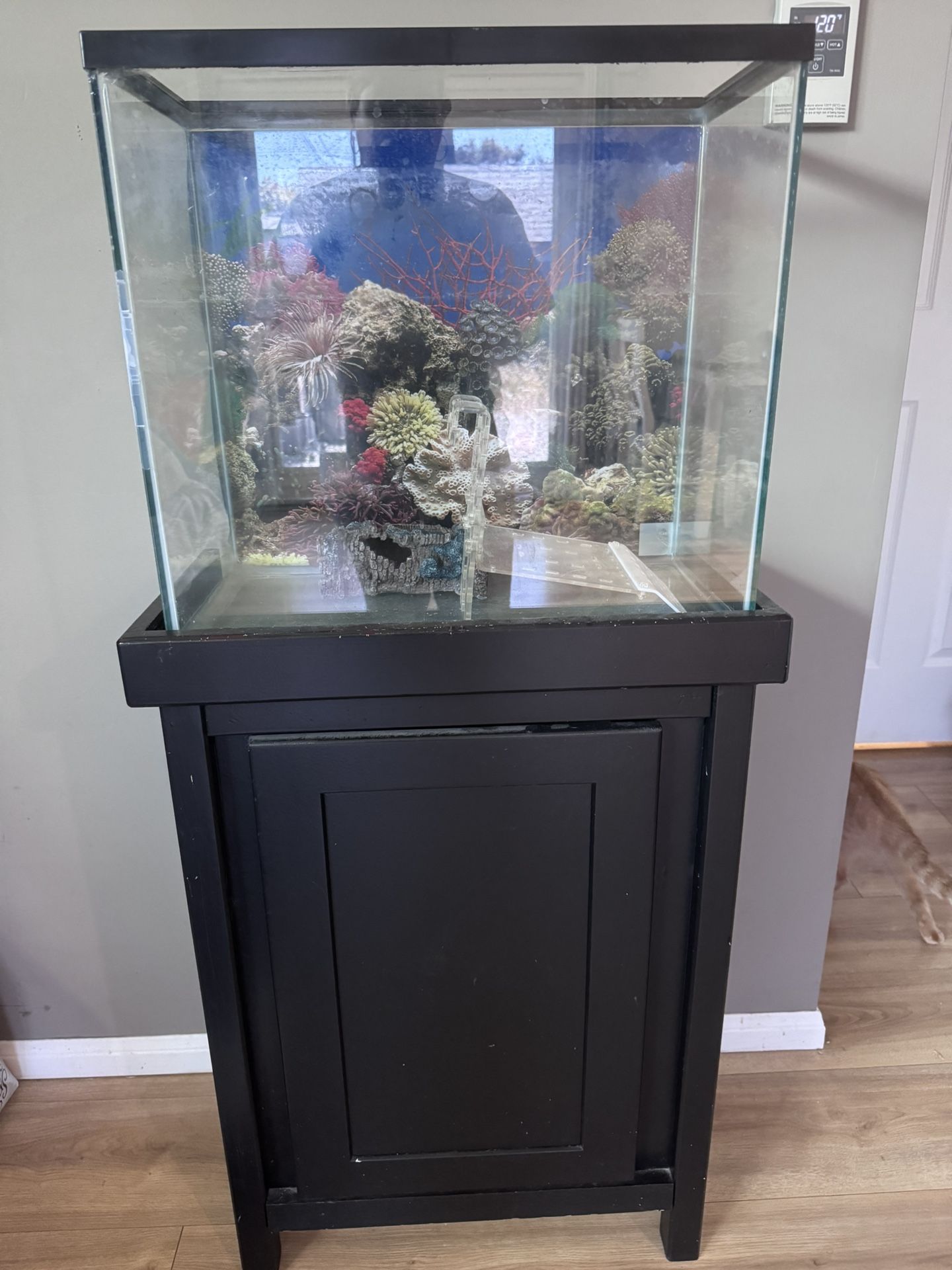 Fish Tank With Base