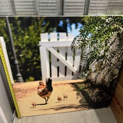 Hen With Chicks Canvas Print