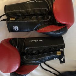 Everlast Boxing Gloves 