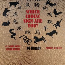 Which Zodiac Sign Are You? 