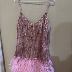 Pink Roaring 20’s Great Gatsby Flapper Theme Party Dress With Accesories