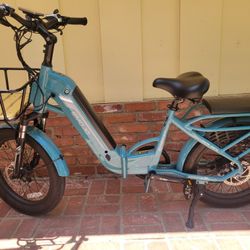 2024 E-Bike/ Bobcat Pro Emojo Bicycle 