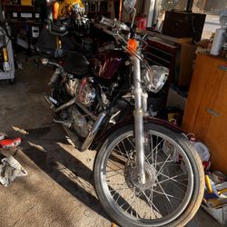 Harley Sportster 1200 Custom