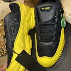 Adidas Raf Simons x Ozweego