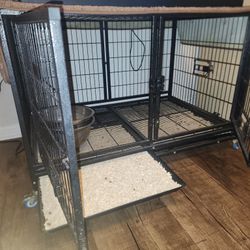 Cage for dogs in one could be made 2