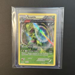 Pokemon Card Sceptile Holo 9/160 Primal Clash NM